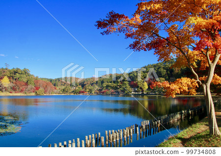 Autumn Nanko Park (Shirakawa City, Fukushima Prefecture) Autumn Nanko Park (Shirakawa City, Fukushima Prefecture) 99734808