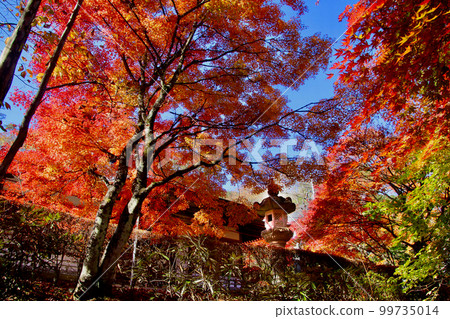 秋天的山本不動尊（福島縣田倉町） 99735014