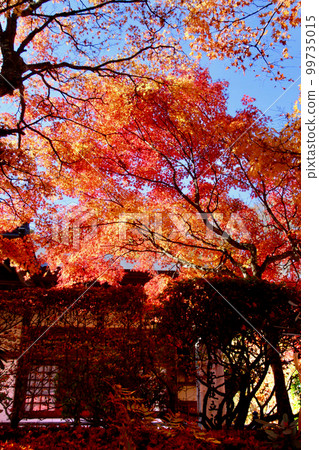Yamamoto Fudoson in Autumn (Tanakura Town, Fukushima Prefecture) Yamamoto Fudoson in Autumn (Tanakura Town, Fukushima Prefecture) 99735015