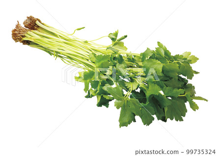 三葉07（帶通行證） 99735324