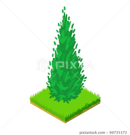Arborvitae icon. Isometric illustration of arborvitae vector icon for web 99735373