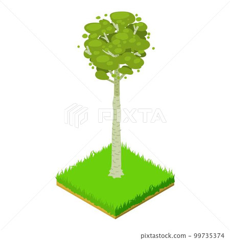 Bigtooth aspen icon. Isometric illustration of bigtooth aspen vector icon for web 99735374