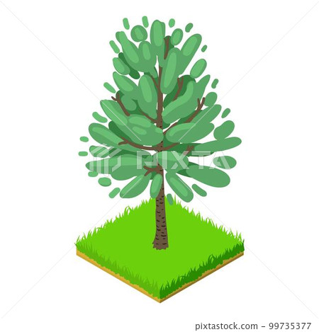 Black birch icon. Isometric illustration of black birch vector icon for web Black birch icon. Isometric illustration of black birch vector icon for web 99735377