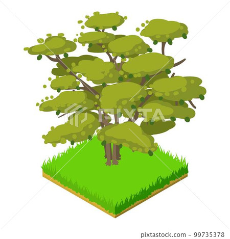 Butternut tree icon. Isometric illustration of butternut tree vector icon for web 99735378