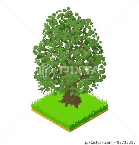 Maple tree icon. Isometric illustration of maple tree vector icon for web Maple tree icon. Isometric illustration of maple tree vector icon for web 99735385