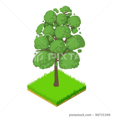 Sassafras icon. Isometric illustration of sassafras vector icon for web Sassafras icon. Isometric illustration of sassafras vector icon for web 99735399
