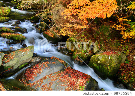 秋天的名倉川流域（福島縣花輪町） 99735594