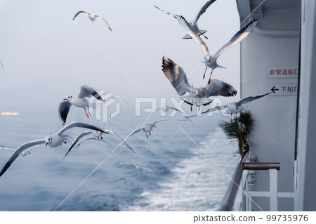 從渡輪看到的海鷗群 99735976