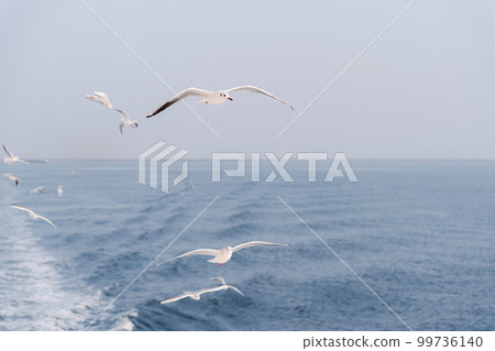一群海鷗飛過海面 一群海鷗飛過海面 99736140