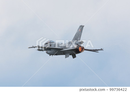 波蘭空軍 F-16C Block 52+“老虎演示小組” 99736422