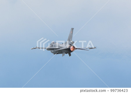 波蘭空軍 F-16C Block 52+“老虎演示小組” 99736423