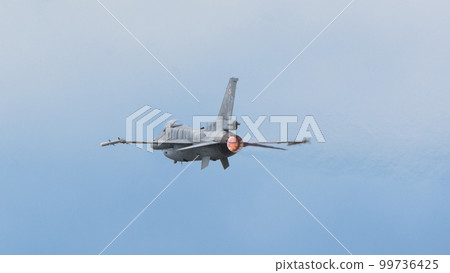 Polish Air Force F-16C Block 52+ "Tiger Demo Team" 99736425