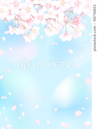 櫻花樹枝和明亮的藍天 99736601