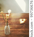 dried flowers and light 99736676