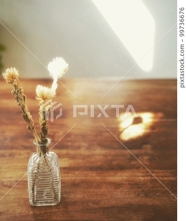 dried flowers and light dried flowers and light 99736676