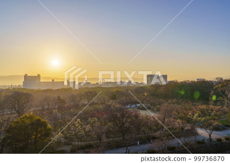 從大阪城月見矢倉遺址欣賞大阪城梅林的壯麗晨景 99736870