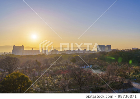 從大阪城月見矢倉遺址欣賞大阪城梅林的壯麗晨景 99736871