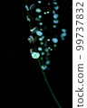 Jonangu Weeping Plum Light Up 99737832