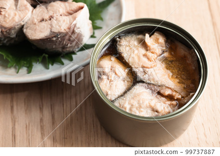 鯖魚罐頭庫存照片的鯖魚罐頭 99737887
