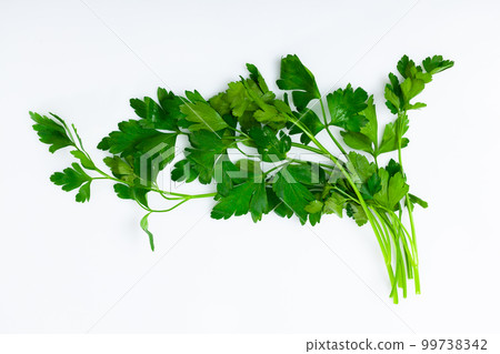 Sprig of raw green parsley over white background Sprig of raw green parsley over white background 99738342