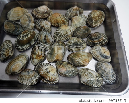 無沙蛤蜊 無沙蛤蜊 99738745