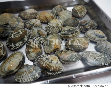 無沙蛤蜊 無沙蛤蜊 99738746