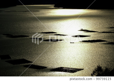 An oyster raft floating in the Seto Sea 99739115