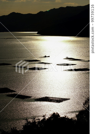 An oyster raft floating in the Seto Sea 99739116