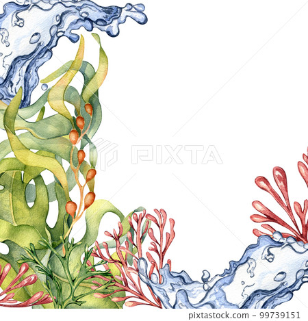 Frame of colorful sea plants watercolor illustration isolated on white. 99739151