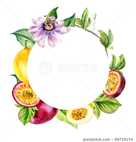 Wreath of tropical fruits and flower watercolor illustration isolated on white background. 99739154