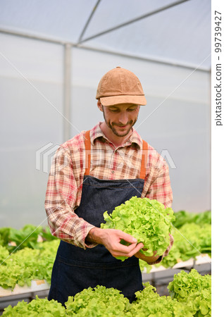 Happy Caucasian male farm owner harvesting in the greenhouse. farming business 99739427