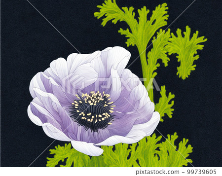 銀蓮花紫花，AI插畫 99739605