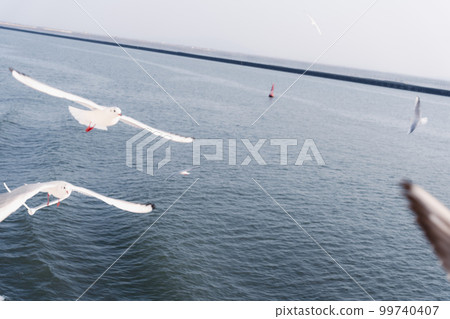 A flock of seagulls flying over the sea 99740407