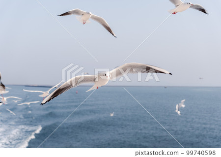 A flock of seagulls flying over the sea 99740598