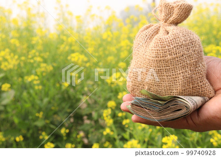 money bag and bank note on hand with mustard farm money bag and bank note on hand with mustard farm 99740928