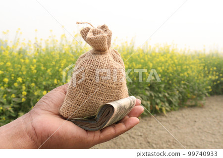 money bag and bank note on hand with mustard farm money bag and bank note on hand with mustard farm 99740933