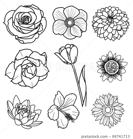 Drawing of blossom flowers. 99741713