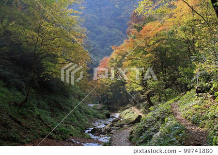 Fall fall monkey waterfall Fall fall monkey waterfall 99741880