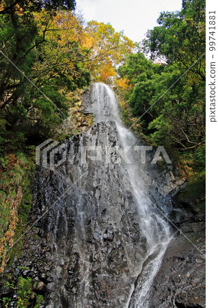 Fall fall monkey waterfall Fall fall monkey waterfall 99741881