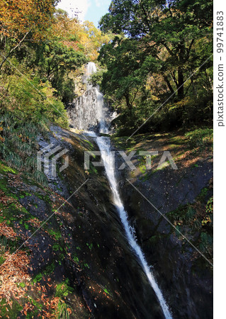 Fall fall monkey waterfall 99741883