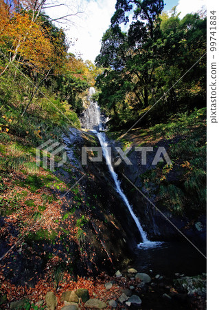 Fall fall monkey waterfall 99741884