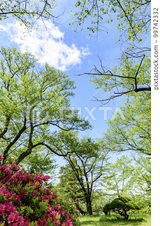 從山形縣南陽市烏干山公園出發,在清新的綠意中 從山形縣南陽市烏干山公園出發,在清新的綠意中 99742332