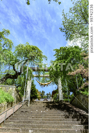 From Eboshiyama Park, Nanyo City, Yamagata Prefecture, in the fresh greenery 99742336