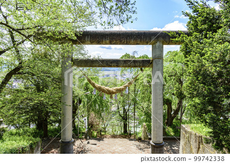 從山形縣南陽市烏干山公園出發,在清新的綠意中 從山形縣南陽市烏干山公園出發,在清新的綠意中 99742338