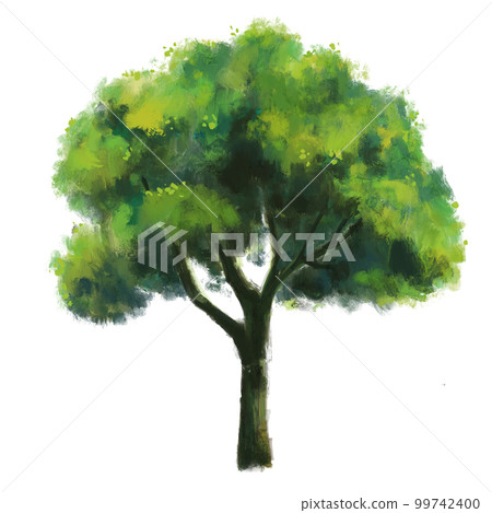Untitled ArtworkTree with isolated background.Garden plant element illustration.Natural object paintiong 99742400