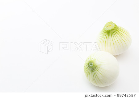 新洋蔥白色背景 99742587
