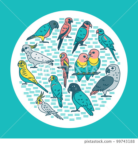 Tropical birds round concept banner in line style Tropical birds round concept banner in line style 99743188