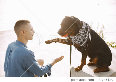 Handsome young male in casual outfit playing with cute dog with orange ball while sitting near the lake. Dog gives a paw. Dog has a white and black scarf on his neck. 99743189
