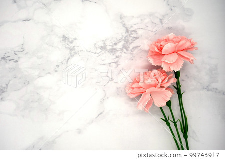 Mother's Day carnation (marble background) Mother's Day carnation (marble background) 99743917