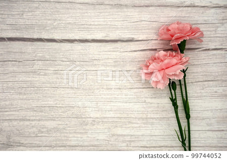 Mother's Day carnation (wood grain background) 99744052